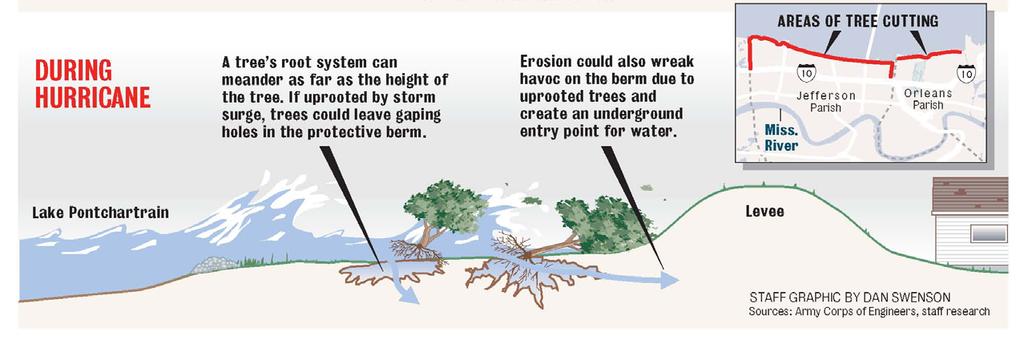Uprooting is a major concern near and on levees Uprooting damage potential: New Orleans Different species/conditions/root architectures may