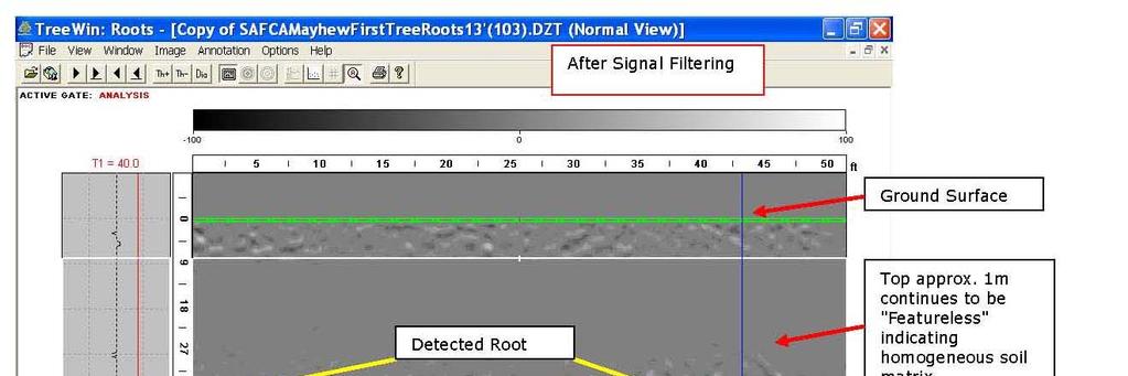 PRELIMINARY DATA Antenna detects roots >1 diameter, up to