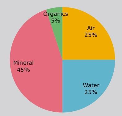 Plant Nutrition Starts in Soil Healthy soil is made up of 4 parts Minerals (45%) Water (25%) Air (25%) Organic Matter (5%) Within the mineral component, all nutrients essential for plant growth are