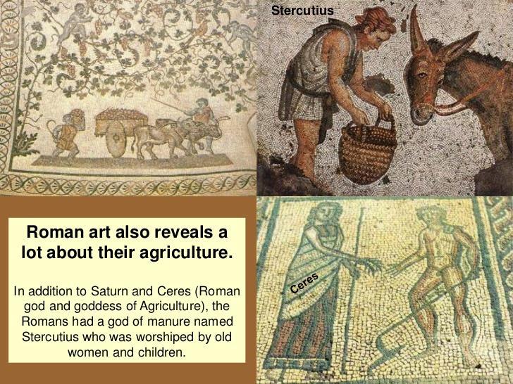 ash (P, K, Ca), Clay Vegetable waste (N) Greeks and Romans used various