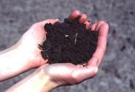 Importance of Soils Soil Diversity on Oahu