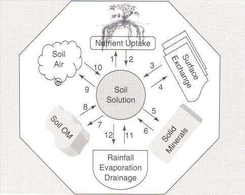 Management for Health Soils and Plant Nutrient