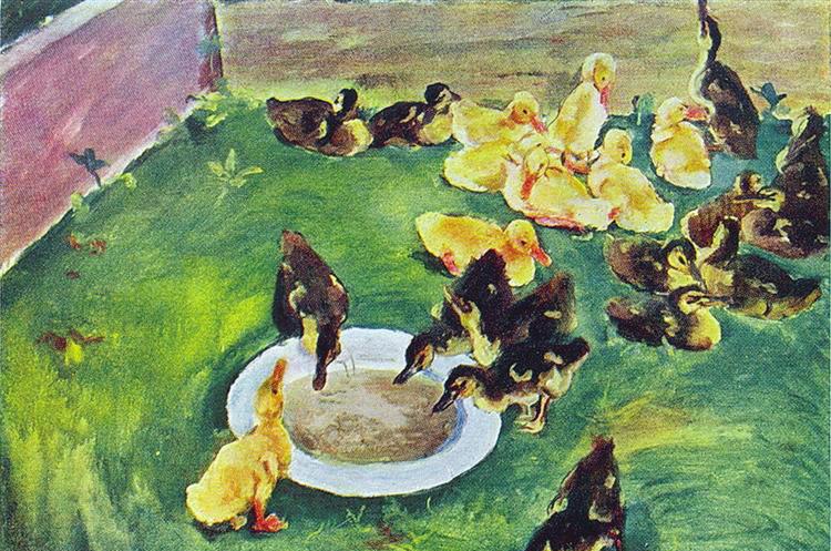 What we can see in this picture? - Suggested answer: Ducklings drinking from a bowl. What parts of our environment can you see in this picture? - Suggested answer: Animals, water, plants.