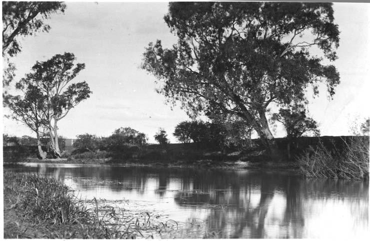 1 Warringal Conservation Society at Banyule Flats The Banyule Wetlands are now recognized as a Wetland Area of State Significance, but in the late 1960s they were threatened with being drained and