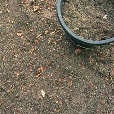 Soil improvement tips 1. To improve your soil you need to know what type of soil you have.