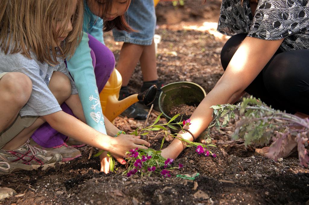 Grow Community this Spring Kids Can Make a Difference! We already know gardening is fun.