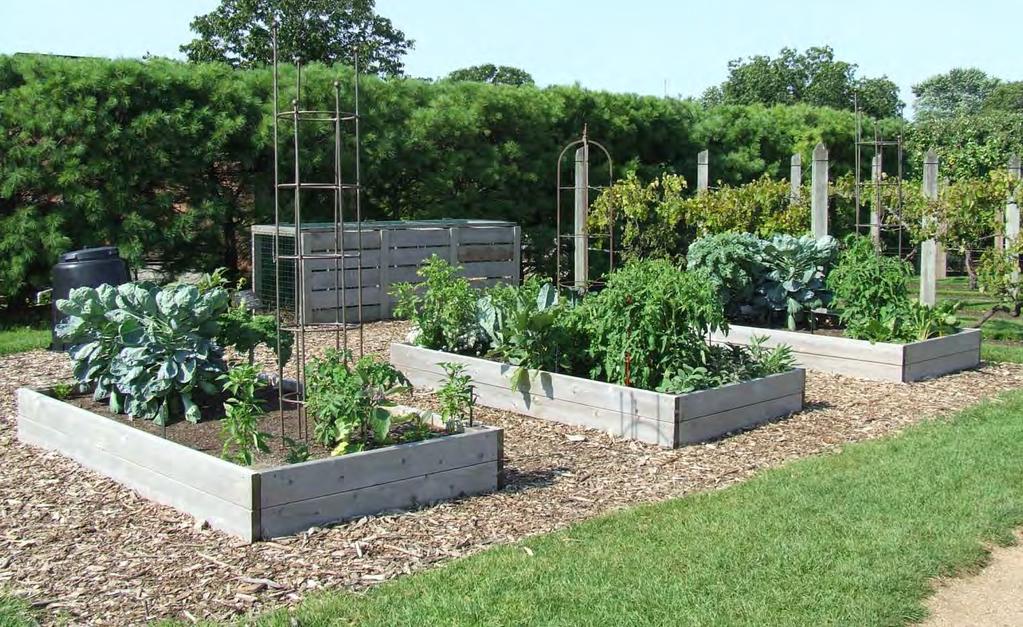 Raised Beds-and