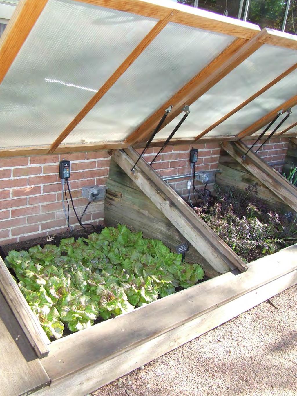 Cold frames Automated system Less labor Still