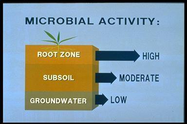 Flow of organic matter in soils Nutrients http://www.extension.umn.