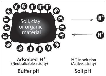 Soil buffering capacity for certain materials is linked to CEC. http://extension.missouri.