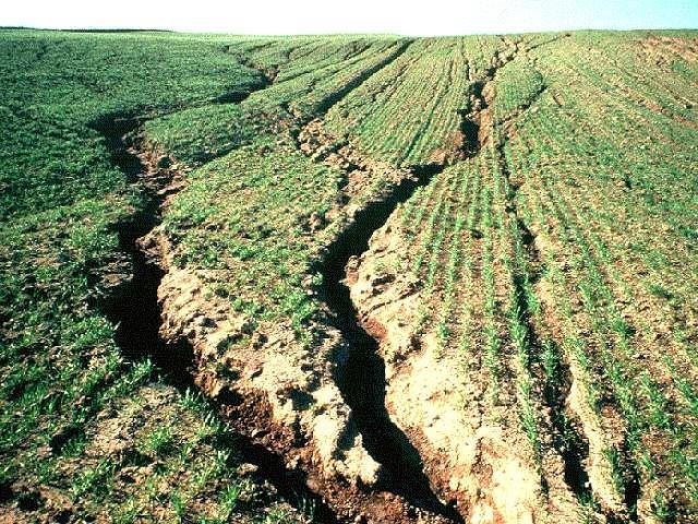 Erosion Erosion is the wearing away of the land surface by rain or irrigation water, wind, ice or other natural or human originated activity that abrade, detach and remove soil from one point on
