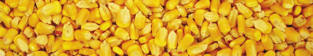 enogen Corn Hybrids KEY -Best -Good 5-Watch ENOGEN CORN BRAND NK NK HYBRID E-07B E-B8 Other Trait Options 0A 000GT NK E-N8 000GT NK E-6K4 000GT Emergence Stalk Strength Root Strength Drought