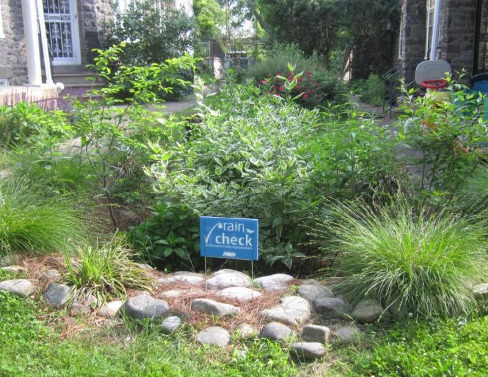 Prevent runoff from polluting our local rivers and streams. Create habitat for birds and butterflies.