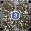 Monitor substrate moisture using the fivepoint moisture scale (Dr.