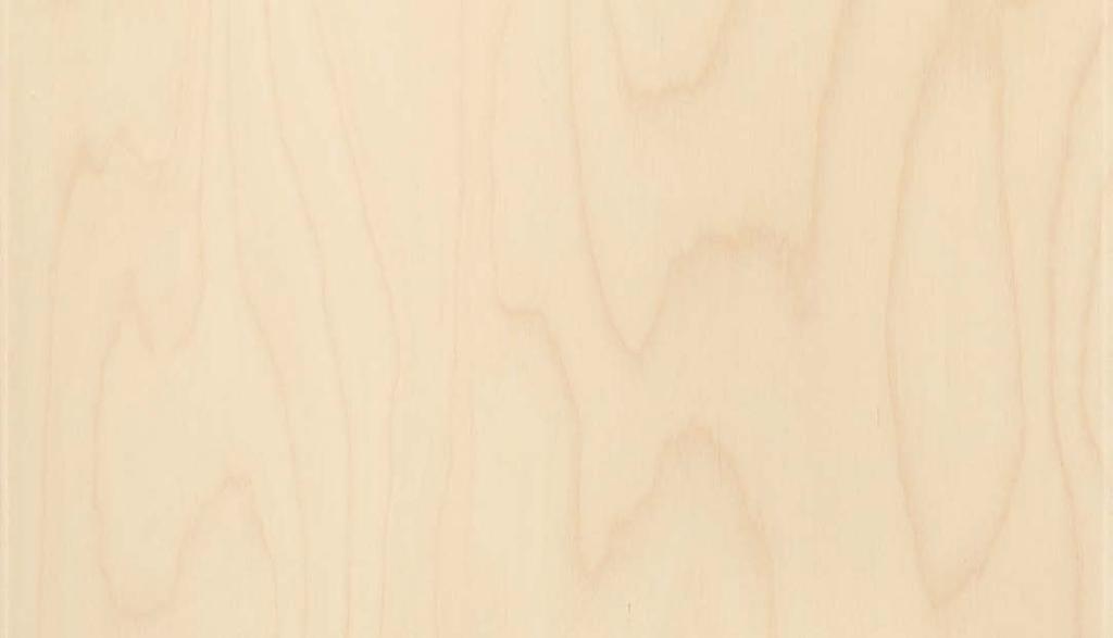36 Panels Premium Real wood panels Madera White ash 073 lacquered Light