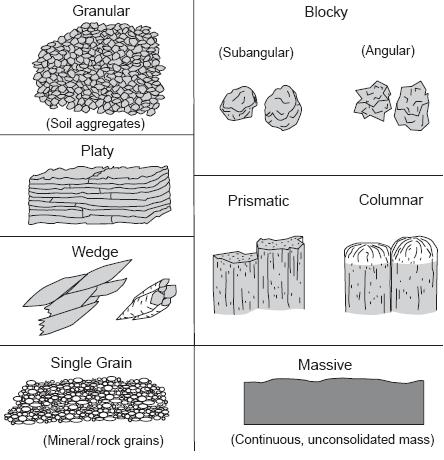 Soil Structure Soil structure is the most important indicator of soil development. Soil structure is the arrangement of aggregates and the arrangement leads to different shapes of structure.