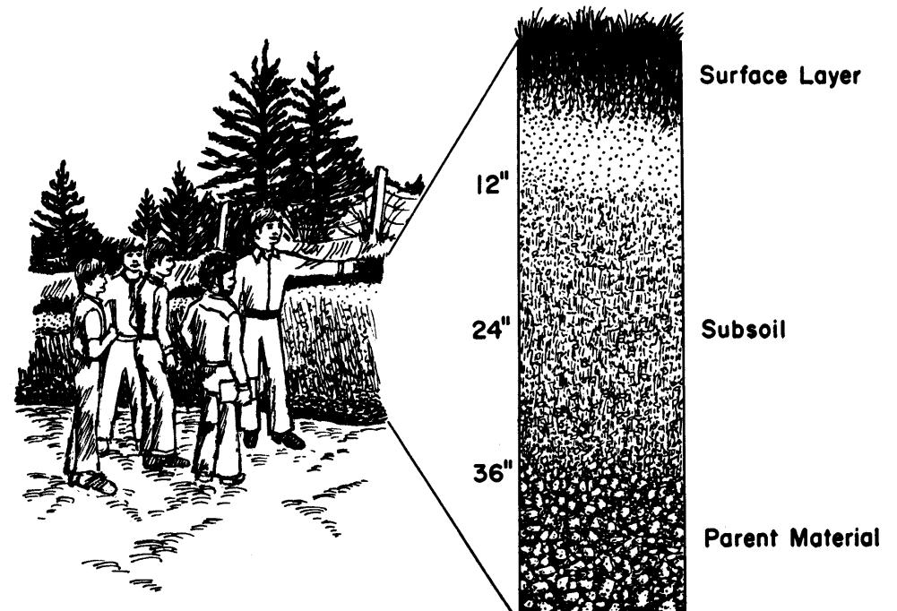 Figure 1. A soil profile.