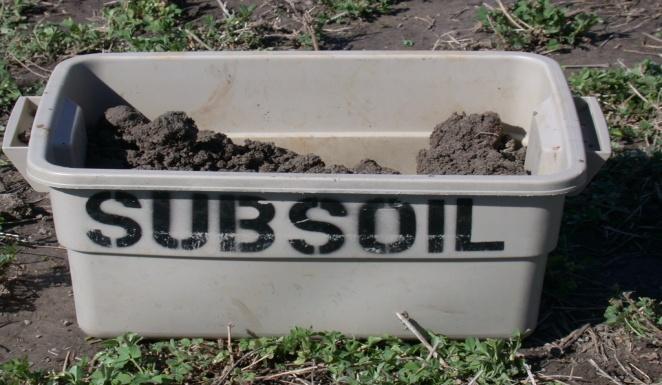 surface soil for a  