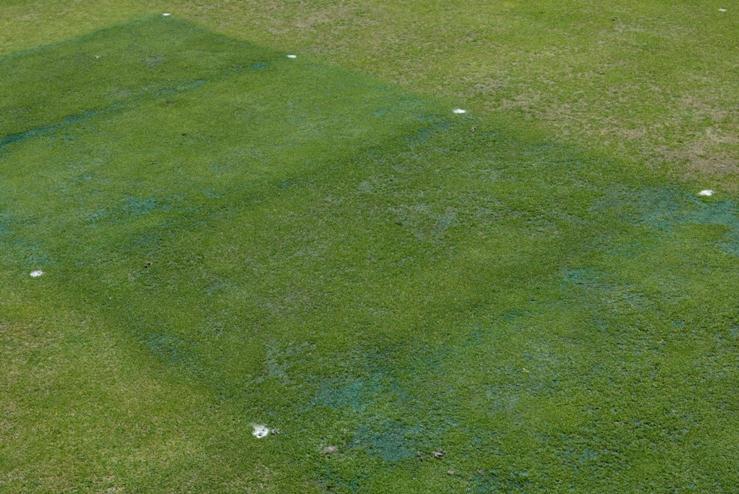 Control of Anthracnose Basal Rot with Civitas 98AS on an Annual Bluegrass (Poa annua L.