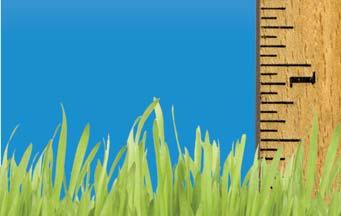If you miss a weekly mowing, raise the mower height so you do not remove too much of the Ideal grass heights are: 3" 4" St.