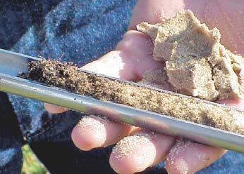 If your soil test shows an adequate level of phosphorus, choose a fertilizer blend that does not contain it.