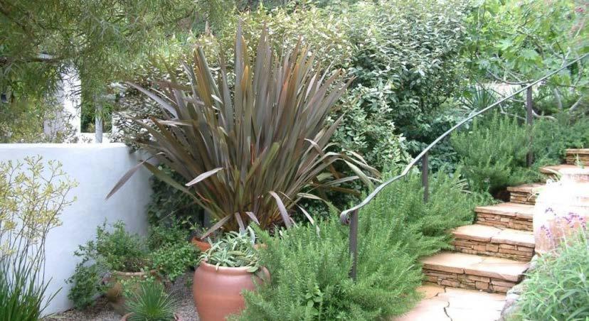 Maximizing Your Space with California Friendly Plants See pricing, information, and