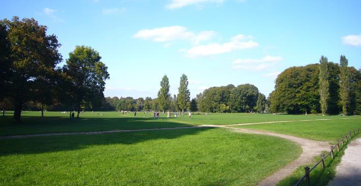 Fig. 18. The character of the line of compositional. The Park in Munich. F.L.Skell Fig. 19. The dialogue of the line, light and shadow. The Park in Munich. F.L.Skell Fig. 20.