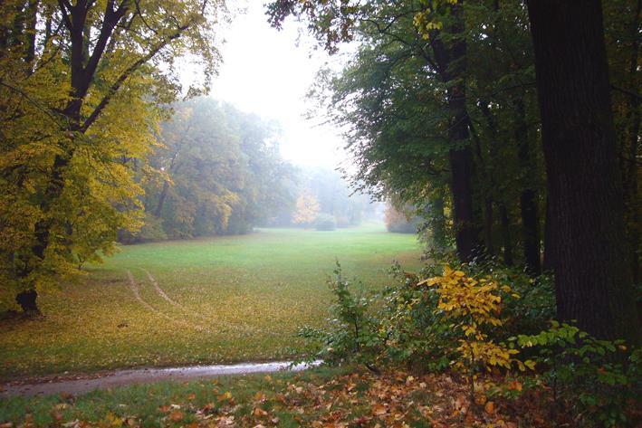 He created two own parks (Bad Muskau and Branitz), finished Babelsberg Park in Potsdam, Germany, formed a firebreak in the beech forest at the Ettersburg castle and participated in the transformation
