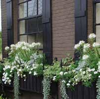 Planters and hanging baskets can soften an