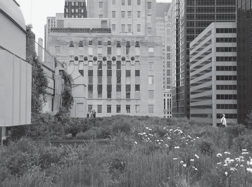 Criteria for a Greener Metropolis 269 Figure 2 The Chicago City Hall green roof. (Photo by M. V. R. Pelletier.