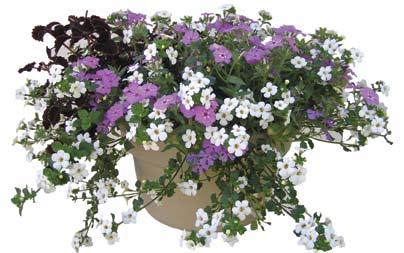 flower power, this basket even