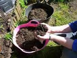 Using Finished Compost (A