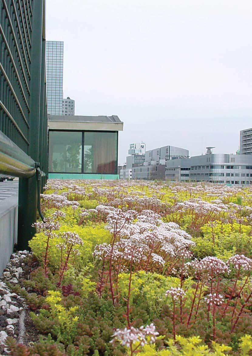 ALKORGREEN.. YOUR LIVING ROOF Green roofs are not just another trend. The tendency towards green roofs has increased markedly over the last 20 years.
