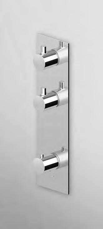 ZT2891 + R99631 3/4 built-in thermostatic