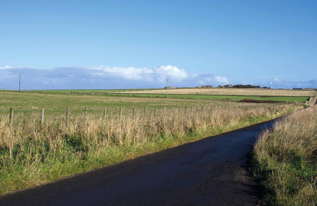 Environmental Considerations SHE Transmission s preferred site is close to the low point on the minor road between the airport and Noss Farm. It is a landscape of open, gently rolling fields.