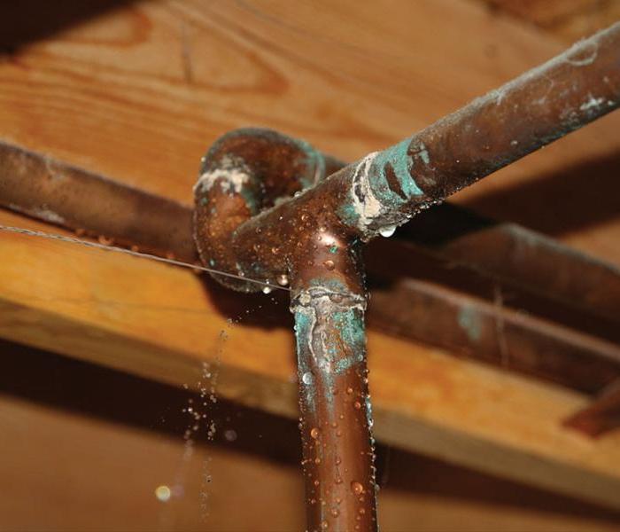 FROZEN PIPES Protect your exposed pipes in attics, crawl spaces and garages if you can see the pipe, it needs to be wrapped with insulation foam Winterize irrigation systems turn off the water