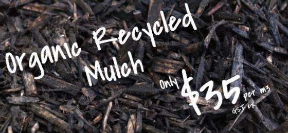SOILWORX - SPRING HAS SPRUNG - IT'S TIME TO GET DIRTY! Organic Recycled Mulch, Super Soil Specials, Really Cheap Road Base, Instant Turf Specials and MORE!
