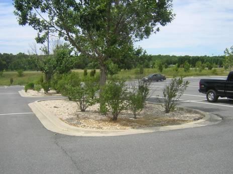 Preventing stormwater pollution Use low impact development.