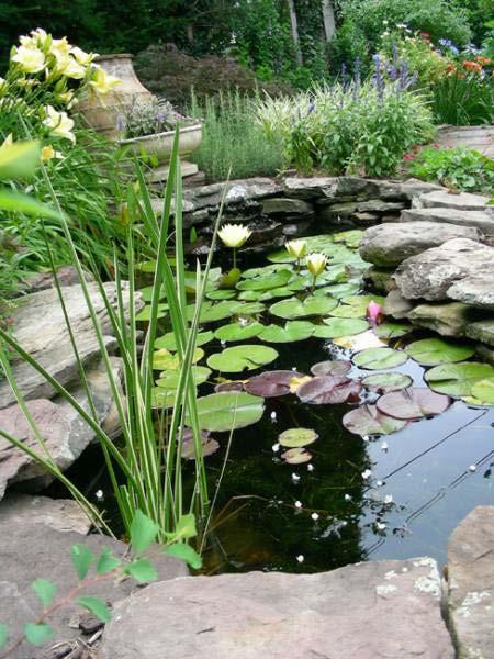 Use of Rain Barrel Water Vegetable Gardens Ponds Have