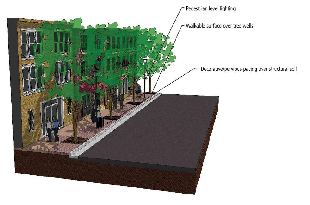 Type 2: This streetscape type is located in areas where the Right-of-Way is restricted and may only accommodate an 10-12 foot wide sidewalk.