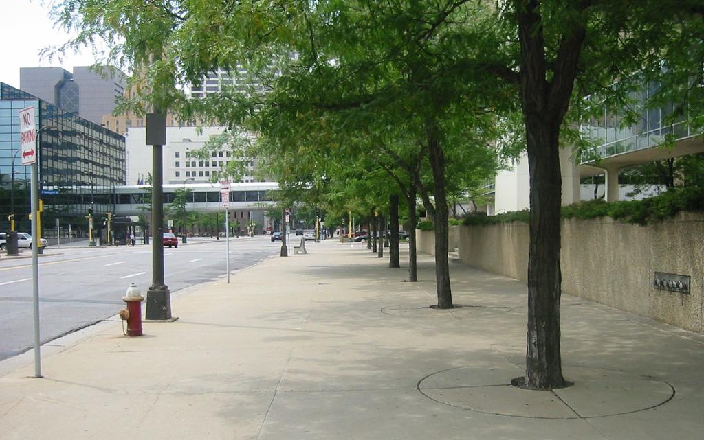 The selection of tree species and their placement in the public right-of-way should be consistent with the goals of a particular street.