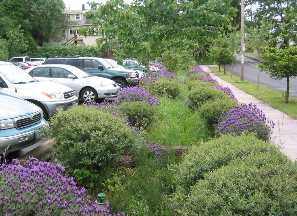 In addition to providing pollution reduction, swales also reduce runoff volumes and peak flow rates by detaining stormwater.