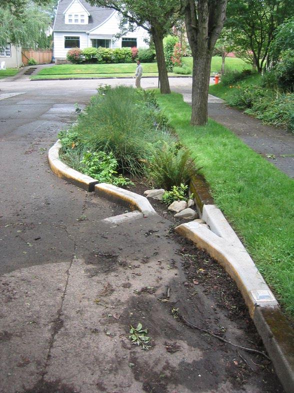 Rain Gardens Rain gardens are landscaped detention or bio-retention features in a street designed to provide initial treatment of stormwater runoff.