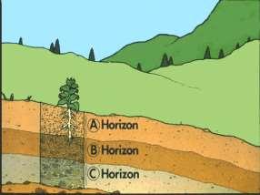 soils water holding capacity - fine