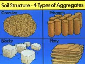 Soil Structure Manner in which soil particles are arranged together Particles in sandy soils may