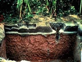 of tillage Reduces crusting Maintaining Soil Structure Add Organic Matter Till Soil When Moist