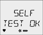 Refer to Resetting Gas Alarm Setpoints. Self-Test 7. The detector then performs a self-test to ensure it is operating correctly. The following screen displays during the test. 6.
