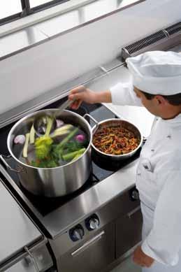 dry cooking in large quantities Ref-freezer base: