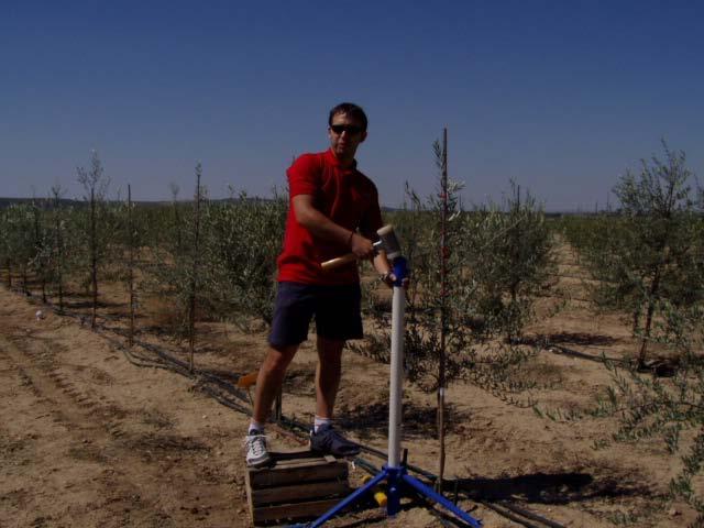 Irrigation management of hedgerow orchards Defitic irrigation strategies in young orchard (Centro de Olivicultura, 2004-2005) - Maximum growth was achieved by 68% deficit