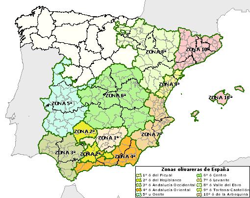 Central Area of Spain Olive Central